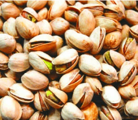 Pistacchi