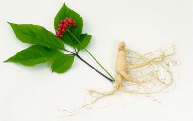 Stimolanti naturali della potenza negli uomini