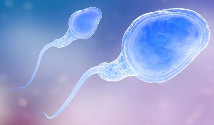 Lo sperma può essere presente nel pre-eiaculato di un uomo